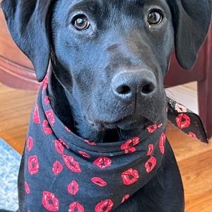 Meet your Posher, Marilynn